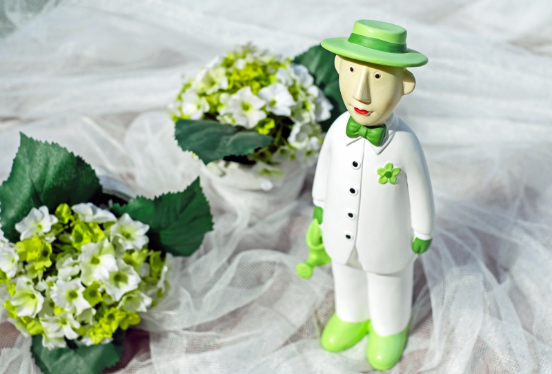 vitrine-CALLAS-min_man-person-flower-green-toy-fig-546529-pxhere.com